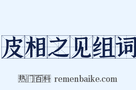 皮相之见组词是什么意思的图片